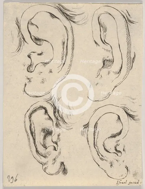 Plate 5: four ears, from 'The Book for Learning to Draw' (Livre pour apprendre à dessi..., ca. 1649. Creator: Stefano della Bella.