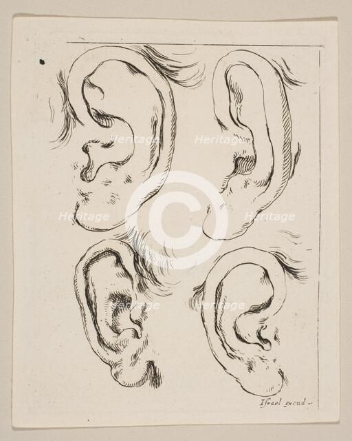 Plate 5: four ears, from 'The Book for Learning to Draw' (Livre pour apprendre à dessi..., ca. 1649. Creator: Stefano della Bella.