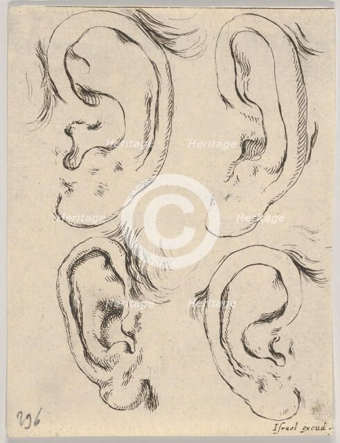 Plate 5: four ears, from 'The Book for Learning to Draw' (Livre pour apprendre à dessi..., ca. 1649. Creator: Stefano della Bella.