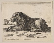 Plate 5: reclining lion, from Various animals (Diversi animali), ca. 1641. Creator: Stefano della Bella