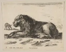 Plate 5: reclining lion, from Various animals (Diversi animali), ca. 1641. Creator: Stefano della Bella