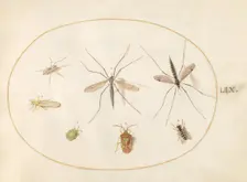 Plate 59: Seven Assorted Insects, c. 1575/1580. Creator: Joris Hoefnagel