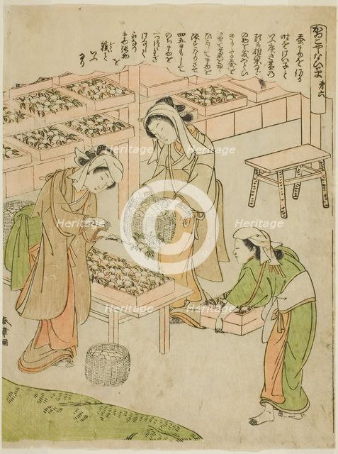 Plate 6 (Examining the Newly Spun Cocoons), from the series "Kaiko Yashinai-gusa", Japan, c. 1772. Creator: Shunsho.
