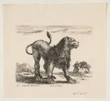 Plate 6: lion, from Various animals (Diversi animali), ca. 1641. Creator: Stefano della Bella