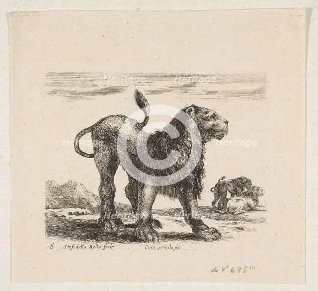 Plate 6: lion, from 'Various animals' (Diversi animali), ca. 1641. Creator: Stefano della Bella.