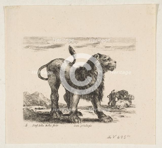 Plate 6: lion, from 'Various animals' (Diversi animali), ca. 1641. Creator: Stefano della Bella.