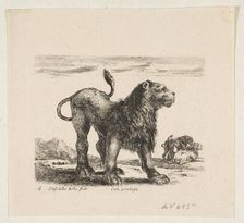 Plate 6: lion, from Various animals (Diversi animali), ca. 1641. Creator: Stefano della Bella