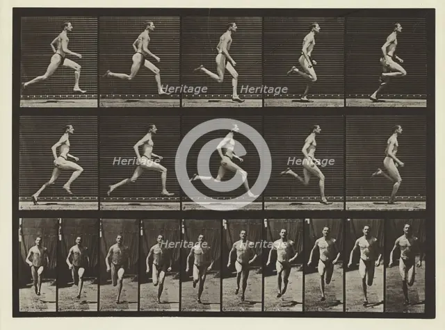 Plate #60, Animal Locomotion, no date [1884-1885]. Creator: Eadweard J Muybridge.