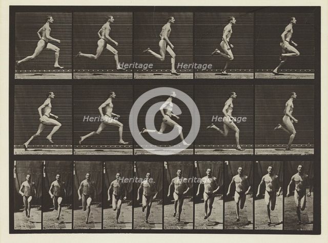 Plate #60, Animal Locomotion, no date [1884-1885]. Creator: Eadweard J Muybridge.