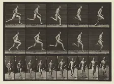 Plate #60, Animal Locomotion, no date [1884-1885]. Creator: Eadweard J Muybridge