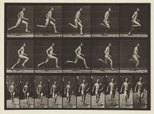Plate #60, Animal Locomotion, no date [1884-1885]. Creator: Eadweard J Muybridge