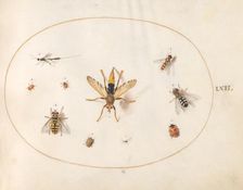 Plate 62: Ten Insects, c. 1575/1580. Creator: Joris Hoefnagel