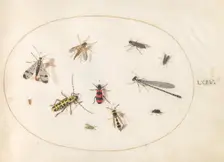 Plate 64: Eleven Insects, Including a Dragonfly and Longhorn Beetle, c. 1575/1580. Creator: Joris Hoefnagel