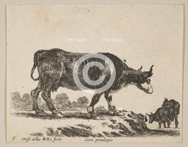 Plate 7: cow, from 'Various animals' (Diversi animali), ca. 1641. Creator: Stefano della Bella.