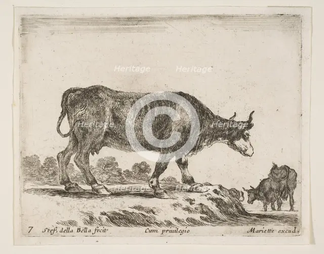 Plate 7: ox, from 'Various animals' (Diversi animali), ca. 1641. Creator: Stefano della Bella.