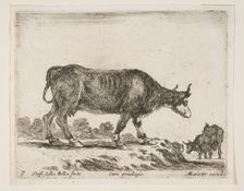 Plate 7: ox, from Various animals (Diversi animali), ca. 1641. Creator: Stefano della Bella