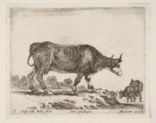Plate 7: ox, from Various animals (Diversi animali), ca. 1641. Creator: Stefano della Bella