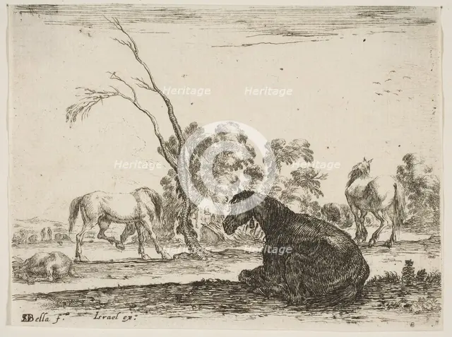 Plate 8: a seated horse to right, seen from behind and turned to the left, three other hor..., 1642. Creator: Stefano della Bella.