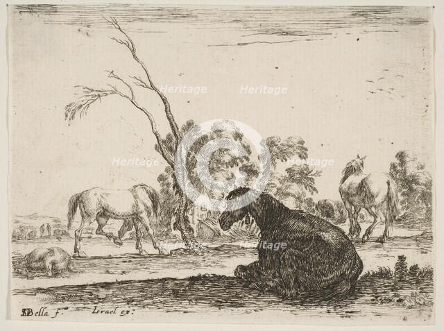 Plate 8: a seated horse to right, seen from behind and turned to the left, three other hor..., 1642. Creator: Stefano della Bella.