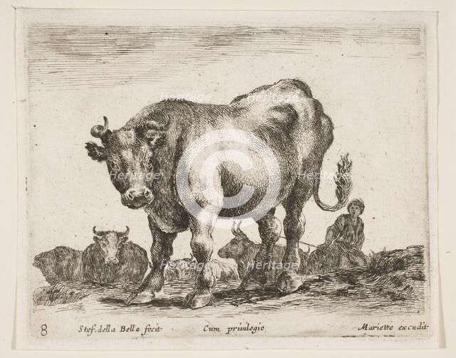 Plate 8: cow, from 'Various animals' (Diversi animali), ca. 1641. Creator: Stefano della Bella.