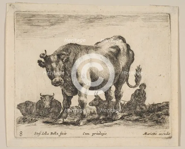 Plate 8: ox, from 'Various animals' (Diversi animali), ca. 1641. Creator: Stefano della Bella.