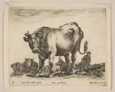 Plate 8: ox, from Various animals (Diversi animali), ca. 1641. Creator: Stefano della Bella