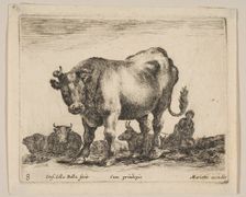 Plate 8: ox, from Various animals (Diversi animali), ca. 1641. Creator: Stefano della Bella