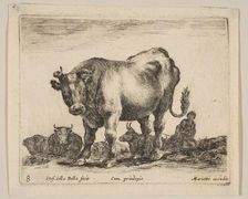 Plate 8: ox, from Various animals (Diversi animali), ca. 1641. Creator: Stefano della Bella