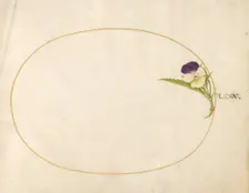 Plate 80: Purple and Yellow Viola, c. 1575/1580. Creator: Joris Hoefnagel
