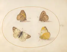 Plate 9: Four Butterflies, c. 1575/1580. Creator: Joris Hoefnagel