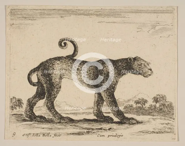 Plate 9: leopard, from 'Various animals' (Diversi animali), ca. 1641. Creator: Stefano della Bella.
