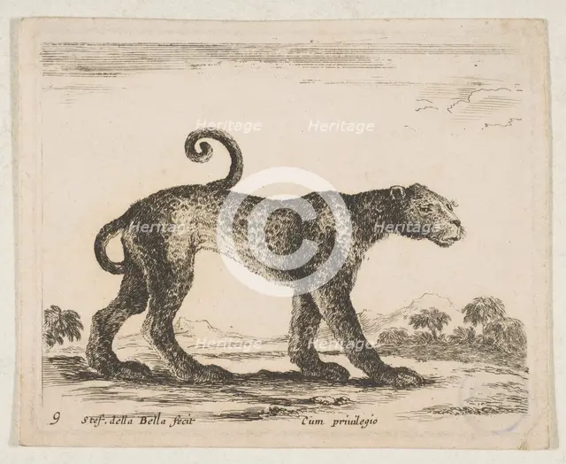 Plate 9: leopard, from 'Various animals' (Diversi animali), ca. 1641. Creator: Stefano della Bella.