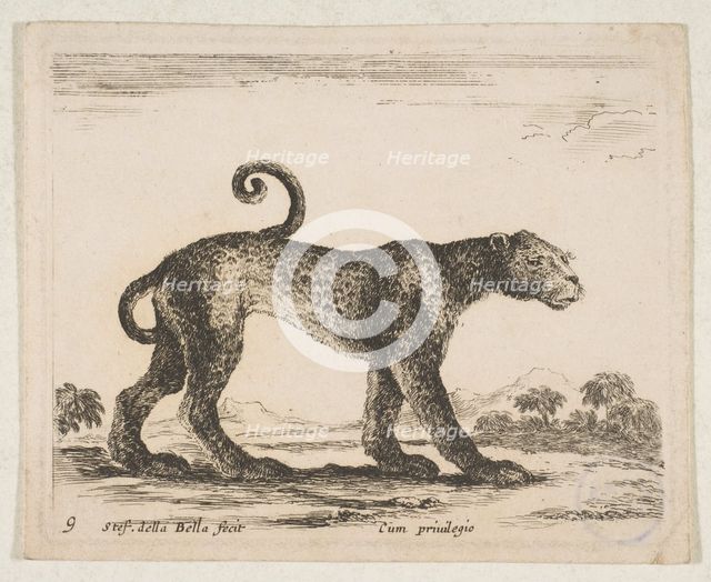 Plate 9: leopard, from 'Various animals' (Diversi animali), ca. 1641. Creator: Stefano della Bella.