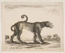 Plate 9: leopard, from Various animals (Diversi animali), ca. 1641. Creator: Stefano della Bella
