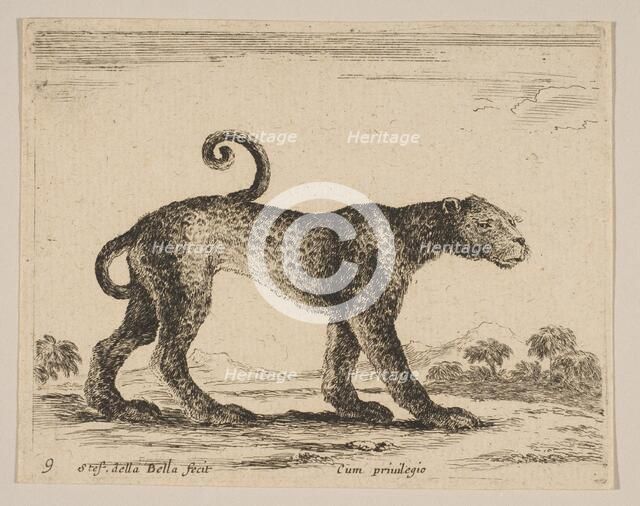 Plate 9: leopard, from 'Various animals' (Diversi animali), ca. 1641. Creator: Stefano della Bella.