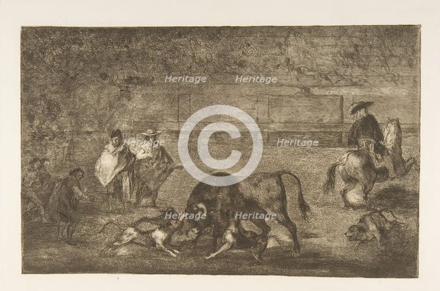 Plate C: The dogs let loose on the bull., ca. 1816. Creator: Francisco Goya.