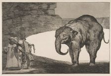 Plate C from the Disparates': Animal Folly, ca. 1816-23 (published before 1877). Creator: Francisco Goya