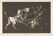 Plate D from the Disparates': Fools-'or Little Bulls - folly, ca. 1816-23 (published 1877). Creator: Francisco Goya