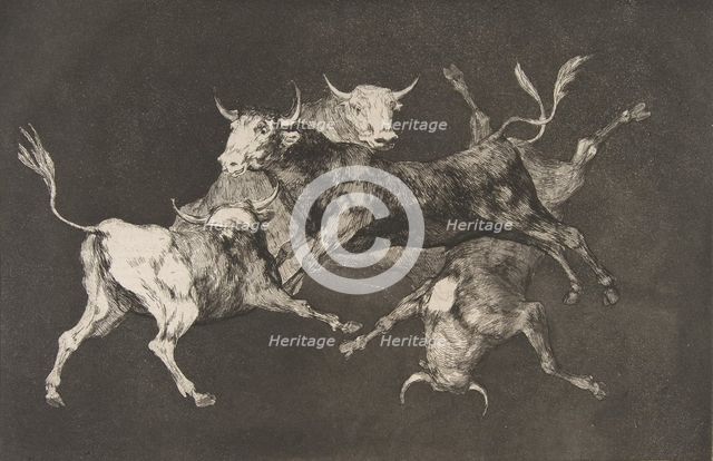 Plate D from the 'Disparates': Fools-'or Little Bulls' - fo..., ca. 1816-23 (published before 1877). Creator: Francisco Goya.