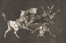 Plate D from the Disparates': Fools-'or Little Bulls - fo..., ca. 1816-23 (published before 1877). Creator: Francisco Goya