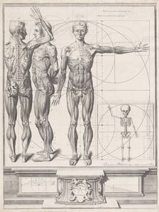 Plate for the Atlas Anatomico (unpublished), Plate ca. 1680-9..., Plate ca. 1680-94; printed 1740. Creator: Crisóstomo Martínez