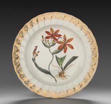 Plate from Dessert Service: Chinese Ixia, c. 1800. Creator: Derby (Crown Derby Period) (British)