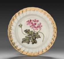 Plate from Dessert Service: Geranium Terabinthinum, c. 1800. Creator: Derby (Crown Derby Period) (British)