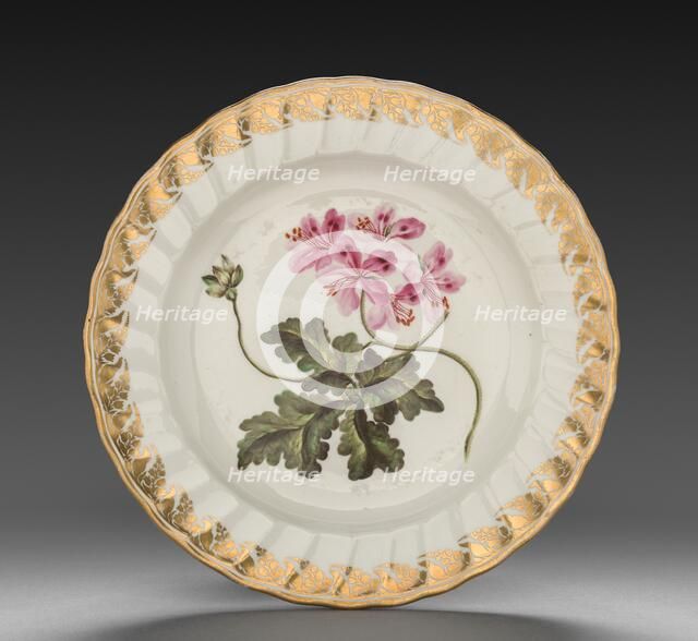 Plate from Dessert Service: Geranium Terabinthinum, c. 1800. Creator: Derby (Crown Derby Period) (British).