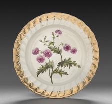 Plate from Dessert Service: Double Groundsell or Ragwort, c. 1800. Creator: Derby (Crown Derby Period) (British)