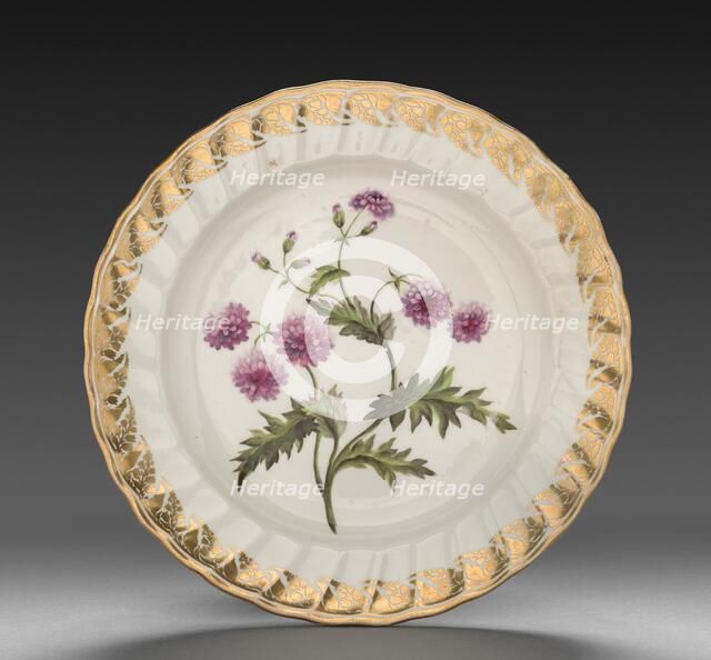 Plate from Dessert Service: Double Groundsell or Ragwort, c. 1800. Creator: Derby (Crown Derby Period) (British).