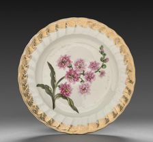 Plate from Dessert Service: Double Stock, c. 1800. Creator: Derby (Crown Derby Period) (British)