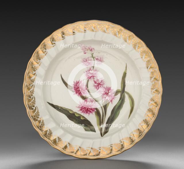 Plate from Dessert Service: Eastern Hyacinth, c. 1800. Creator: Derby (Crown Derby Period) (British).