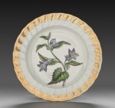 Plate from Dessert Service: Nettle Leaved Bell Flower, c. 1800. Creator: Derby (Crown Derby Period) (British)