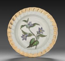 Plate from Dessert Service: Nettle Leaved Bell Flower, c. 1800. Creator: Derby (Crown Derby Period) (British)